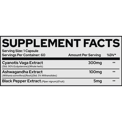 Repp Sports Raze Ecdysterone+ Anabolic Agent Capsules