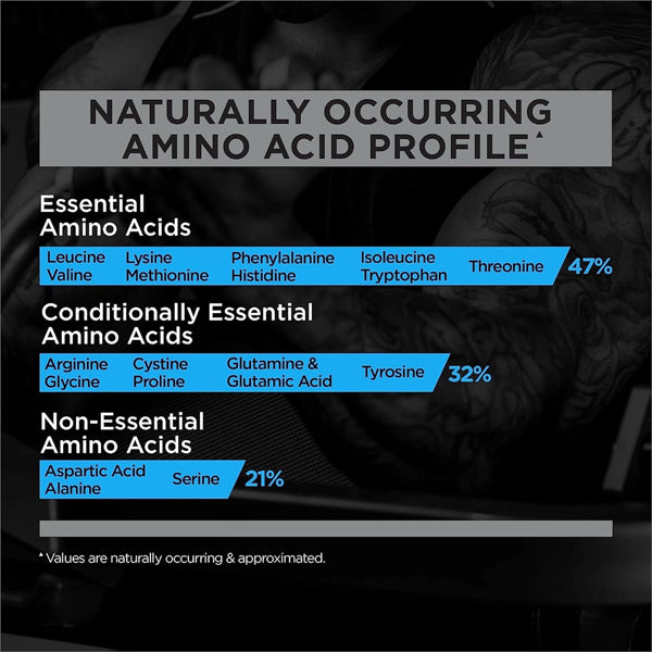 Rule1 100% Whey Protein Blend 5lbs