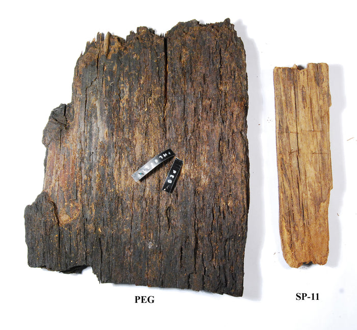 SP-11 Waterlogged Wood Treatment