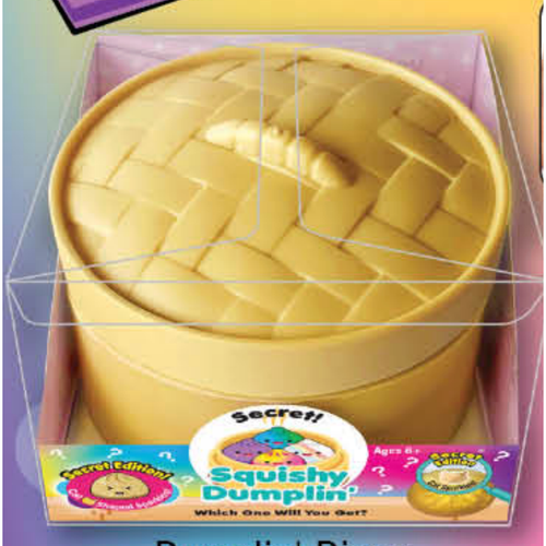 A Squishy Dumplin' toy dumpling in its original packaging, featuring a textured basket-weave lid and a 'Secret!' label on the front.