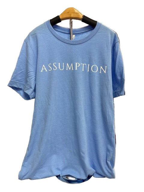 T-Shirt- Blue-Assumption