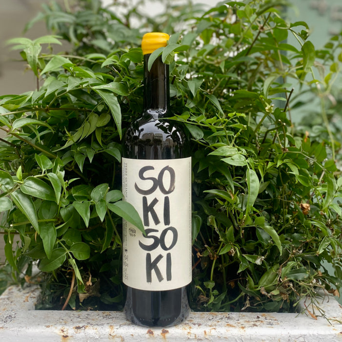 Wine bottle with dark glass and yellow cap among green leaves; label '50 KI 50 KI'