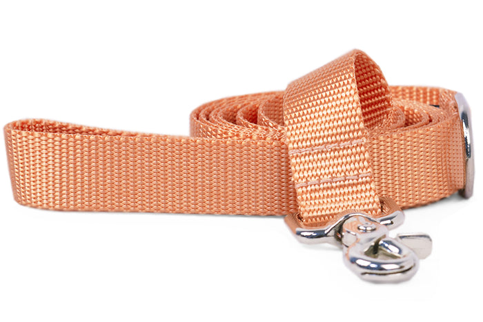Tangerine Webbing Leash - Crew LaLa