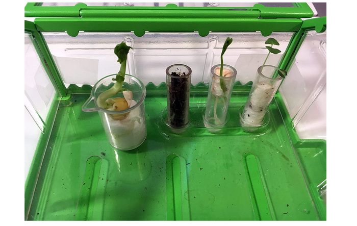Tiny Gardening