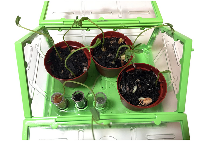 Tiny Gardening