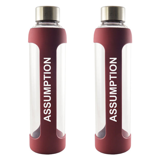 Water Bottle-Glass Silicone Maroon