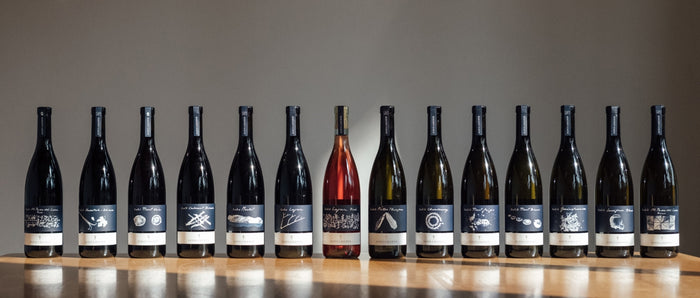 Wine bottles lineup in dark glass with white labels, one orange bottle among them