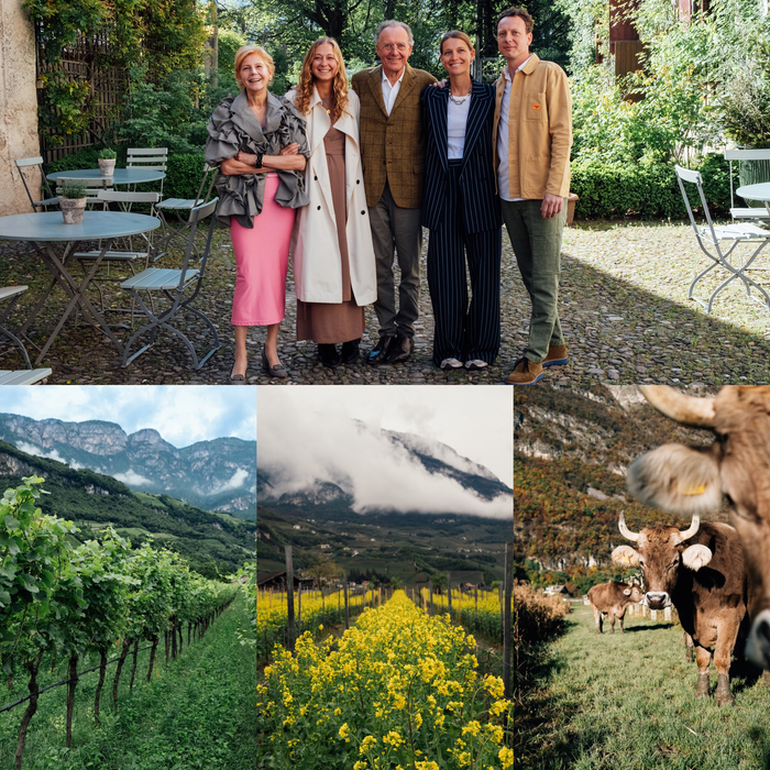 Outdoor event collage: group of five people, vineyard landscape, and grazing animals
